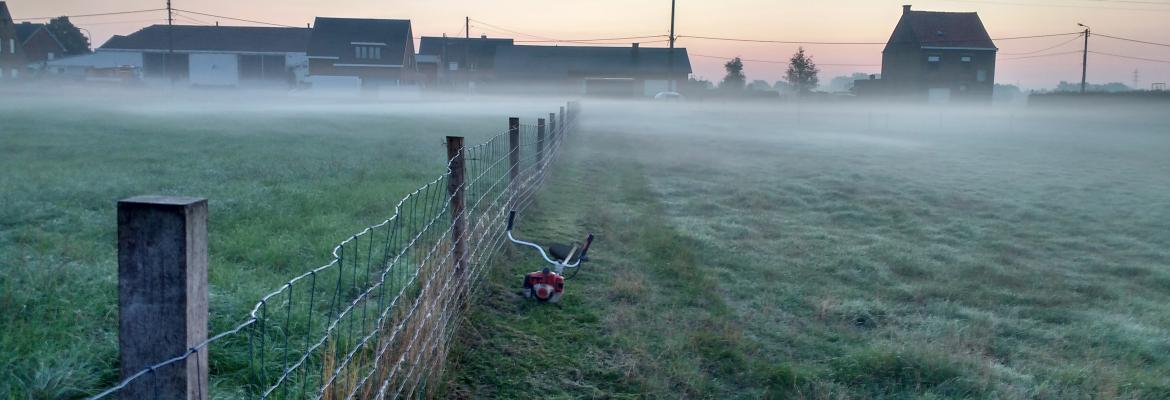 Onderhoud bedrijfsterrein